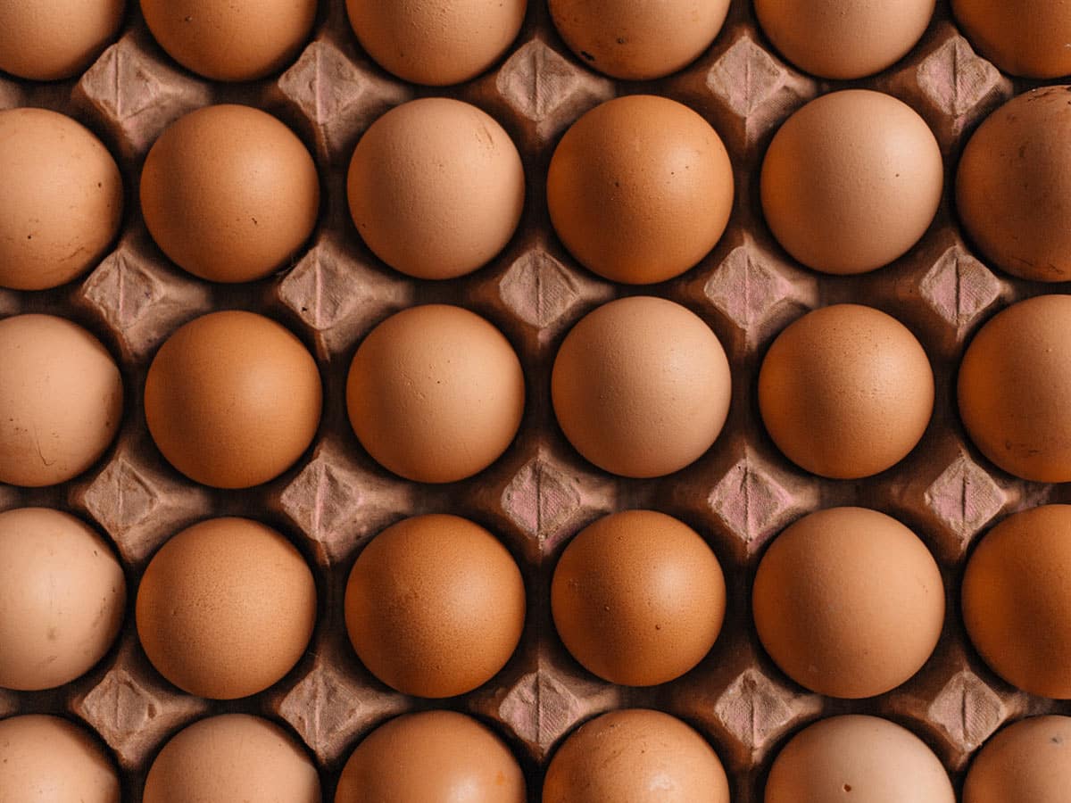 Photo of a box of eggs