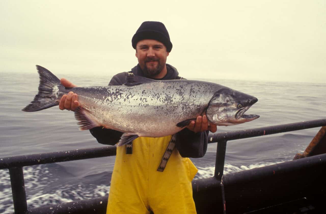 Fisherman holds a large salmon on the deck of a boat. Photo courtesy of NOAA.